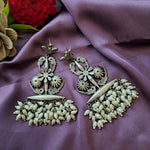 Load image into Gallery viewer, Ekani Sayali Alloy Silver Brass Made Dangler Earrings
